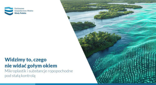 Zanieczyszczenia plastikiem w rzece – wyzwanie dla środowiska wodnego