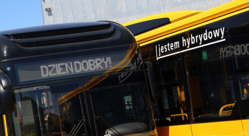 50 nowych autobusów hybrydowych w barwach WTP