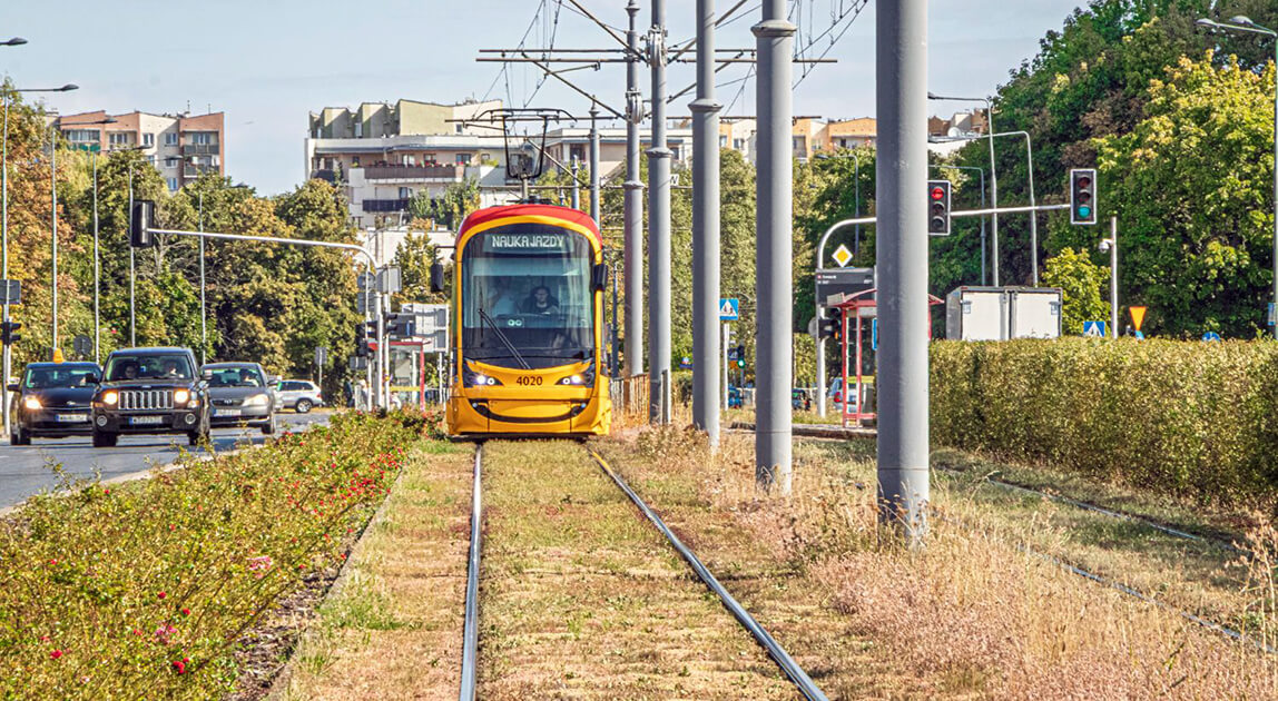 Zielone torowisko w Warszawie – rozchodnik i zioła na torach tramwajowych