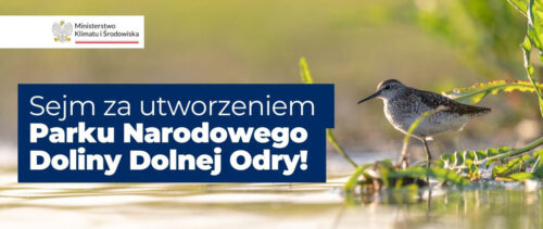 Park Narodowy Doliny Dolnej Odry – powstanie nowy park narodowy w Polsce