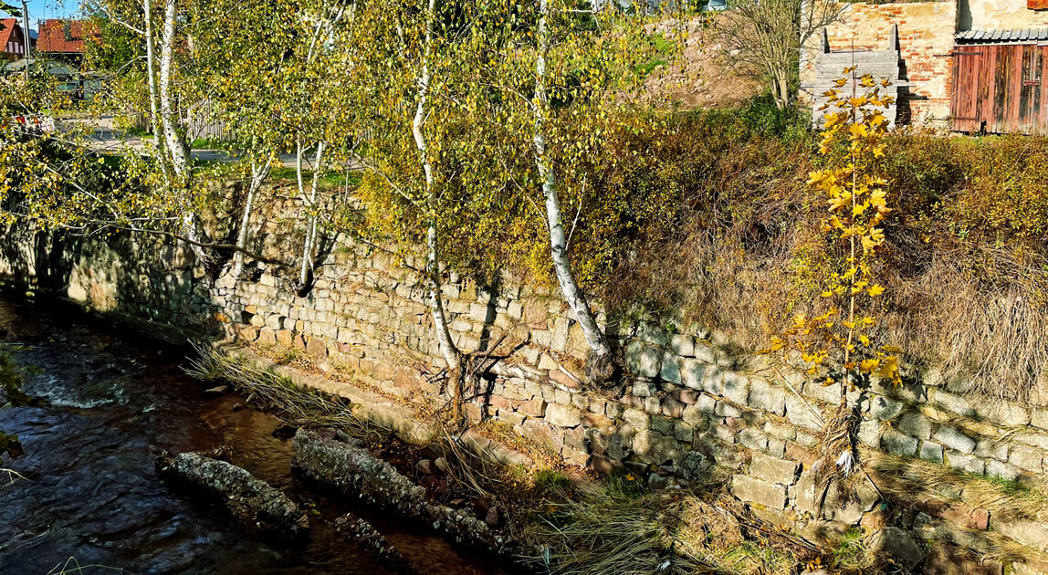 Przykład wegetacji drzew w konstrukcji muru oporowego z kamienia, powodujących degradację struktury muru w tempie geometrycznym