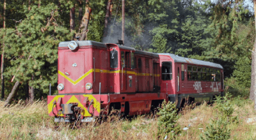 Koleje wąskotorowe – projekt dofinansowania przewozów pasażerskich