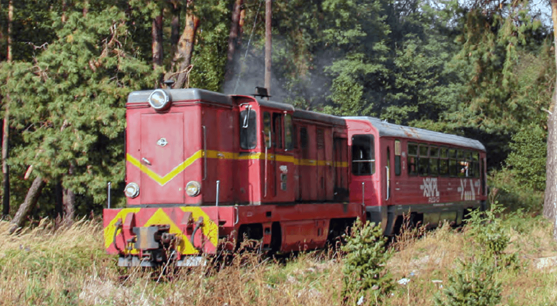 Koleje wąskotorowe – projekt dofinansowania przewozów pasażerskich