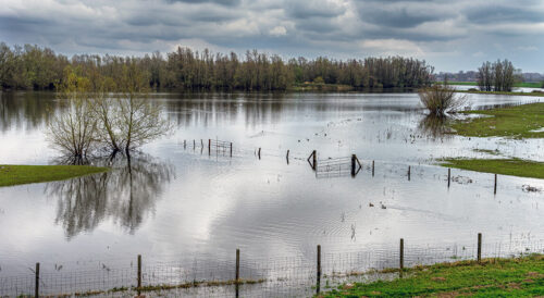 oświadczenie Wód Polskich w sprawie powodzi na Żuławach