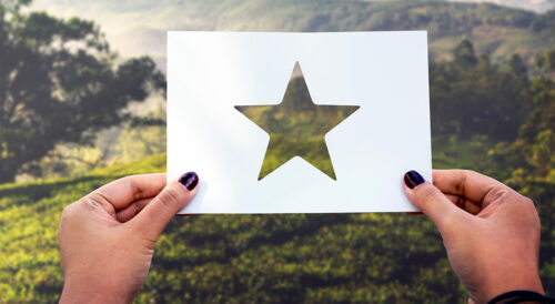 Ocena działalności PIG-PIB w 2024 roku – pozytywna ocena