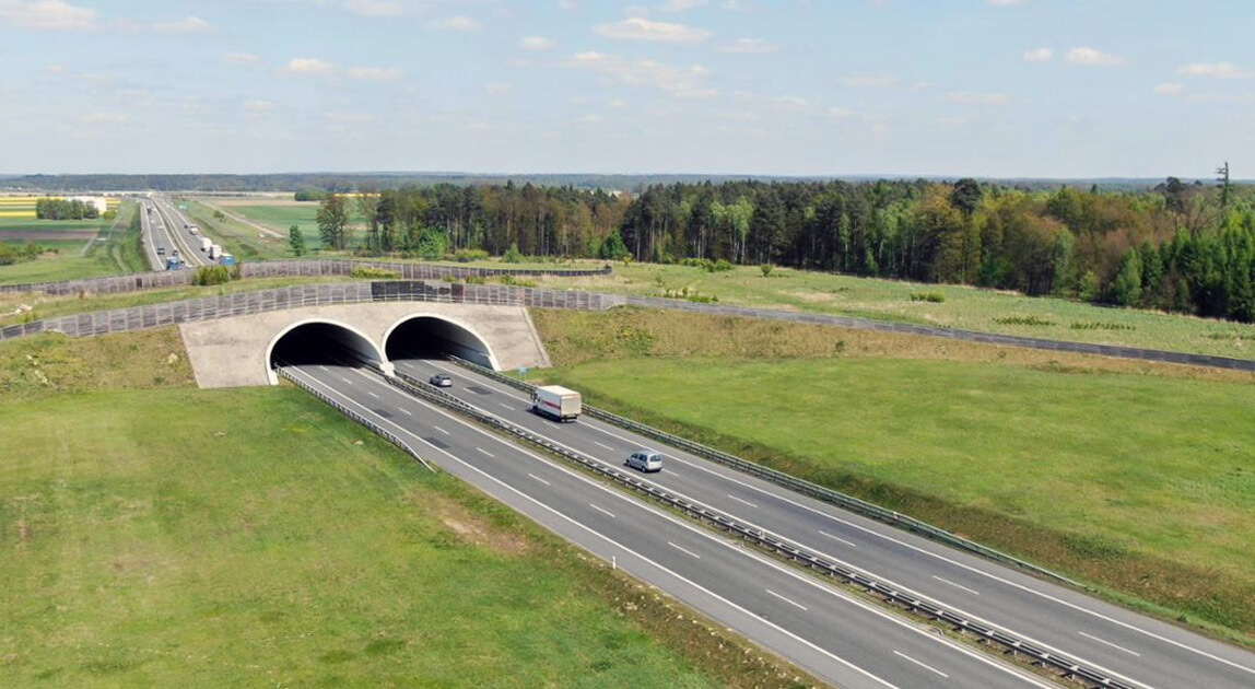 Droga ekspresowa S8 w Oleśnicy – umowa na remont nawierzchni