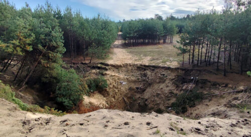 Dyrektor PIG-PIB w Międzyresortowym Zespole ds. zapadlisk – zapadlisko na terenach leśnych
