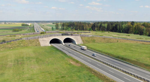 Zmiana organizacji ruchu S8 Oleśnica – droga ekspresowa S8