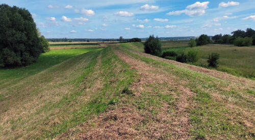 Zwiększenie bezpieczeństwa przeciwpowodziowego w dolinie Wisły – wał przeciwpowodziowy w Janowcu