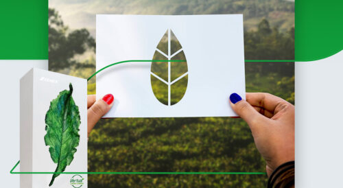 Program EkoProducent Cemex Polska