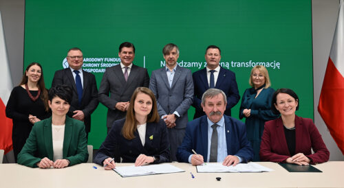 Fundusze na sieci energetyczne i OZE – modernizacja sieci dystrybucyjnej na obszarach wiejskich z KPO