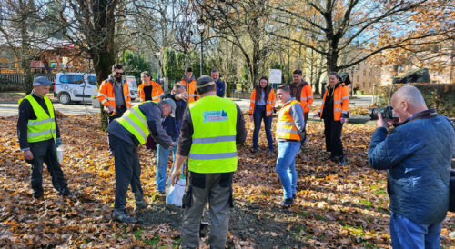 Modernizacja linii kolejowej 104 – sadzenie drzew w Rabce-Zdrój