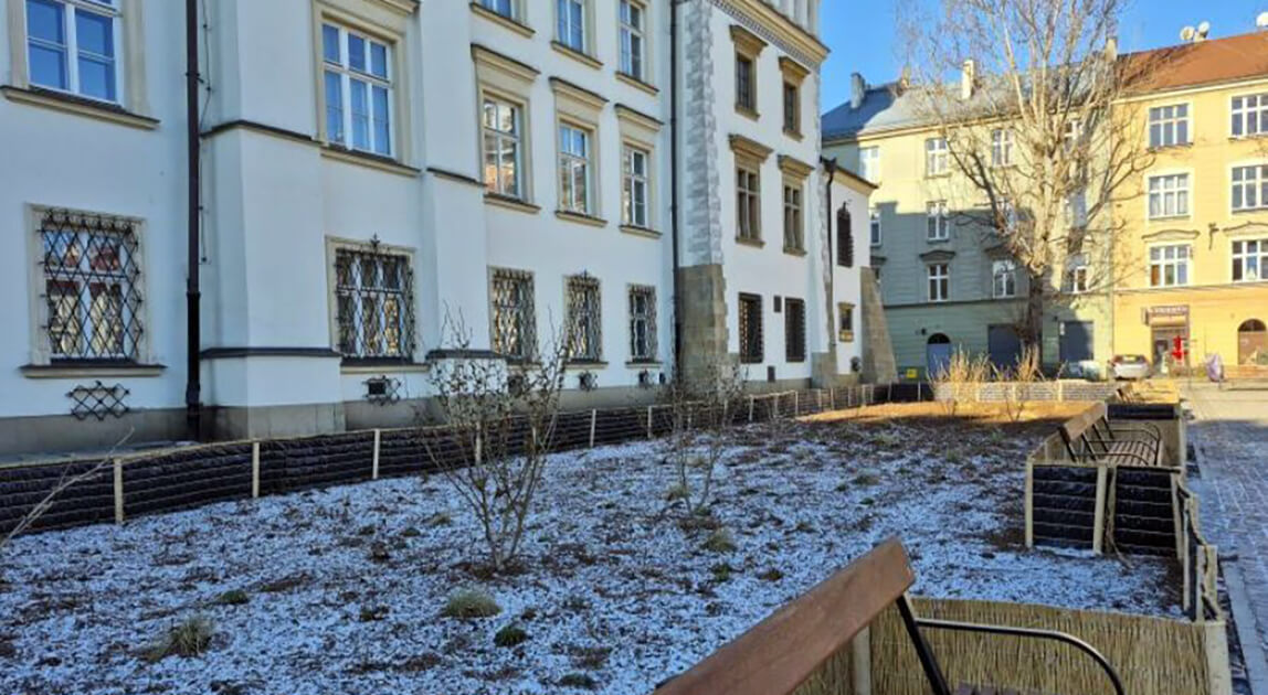 Odbetonowanie Placu Wolnica – nowe rabaty zieleni przed Muzeum Etnograficznym