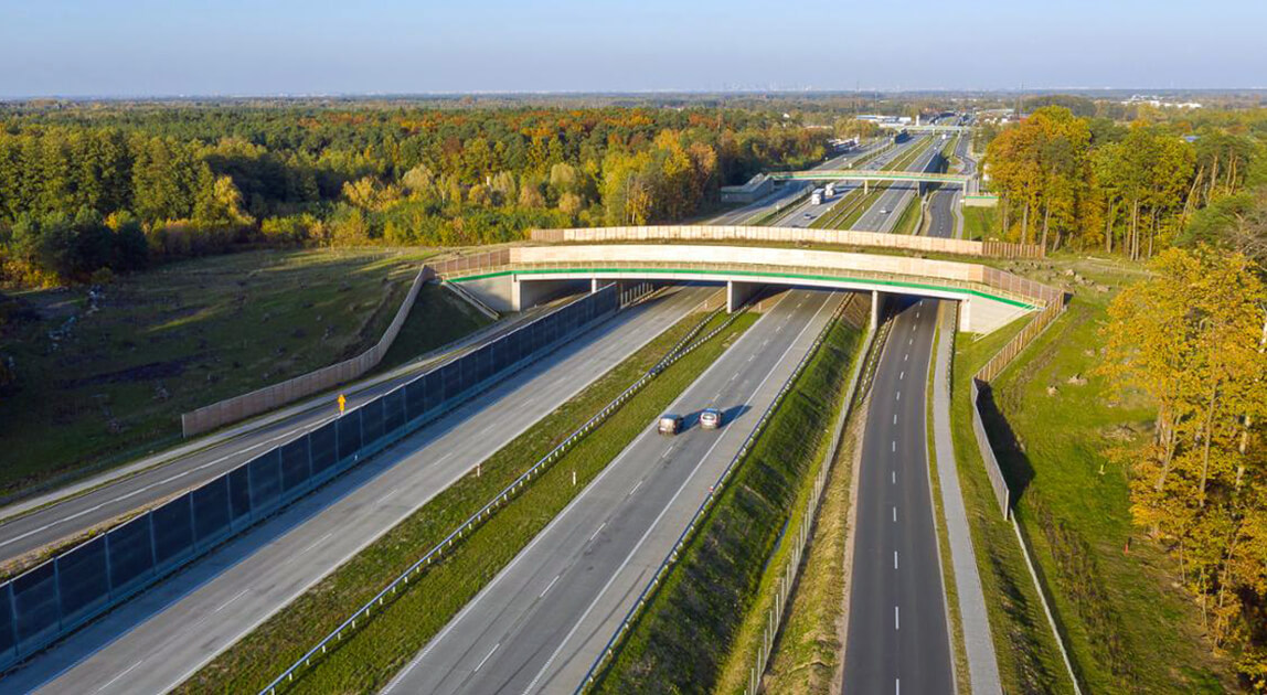 Obwodnica Aglomeracji Warszawskiej – przetarg na STEŚ – droga ekspresowa