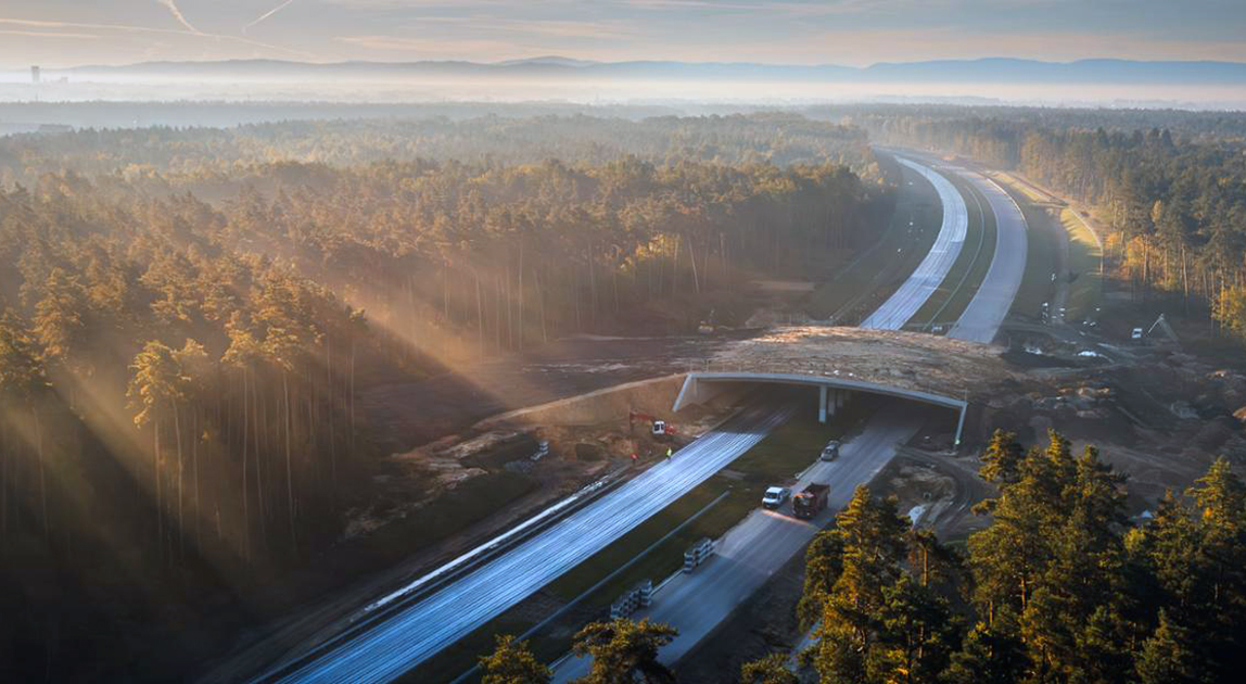 Droga ekspresowa S11 w województwie śląskim