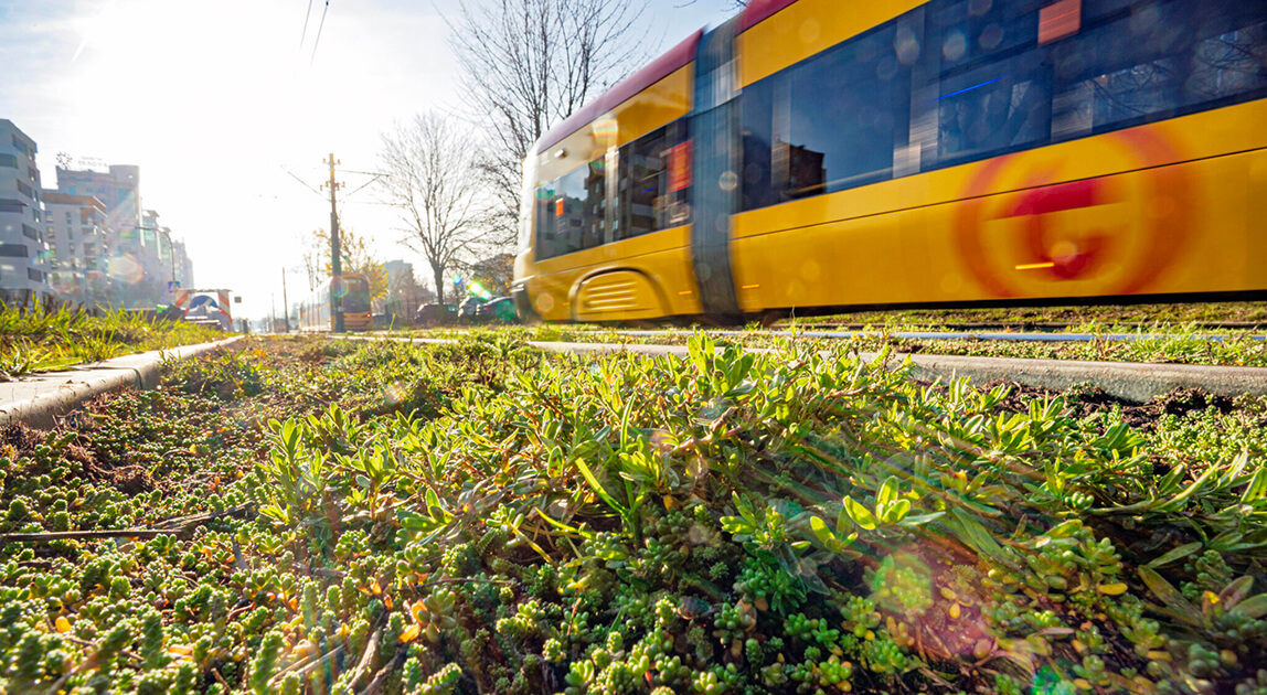 Przebudowa torowiska na Grochowskiej – przebudowane torowisko tramwajowe w Warszawie
