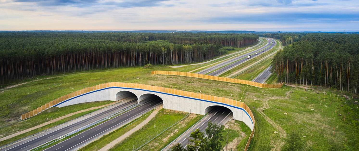 S74 Opatów – Nisko