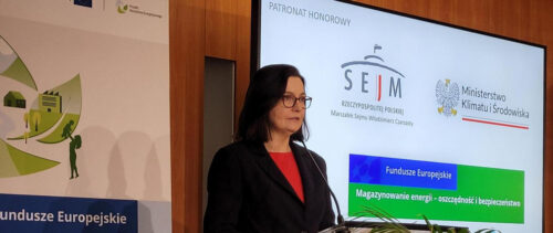 Magazynowanie energii przyspiesza rozwój OZE – wnioski z targów ENEX