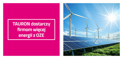 Zielona energia Taurona dla biznesu w 2026 roku