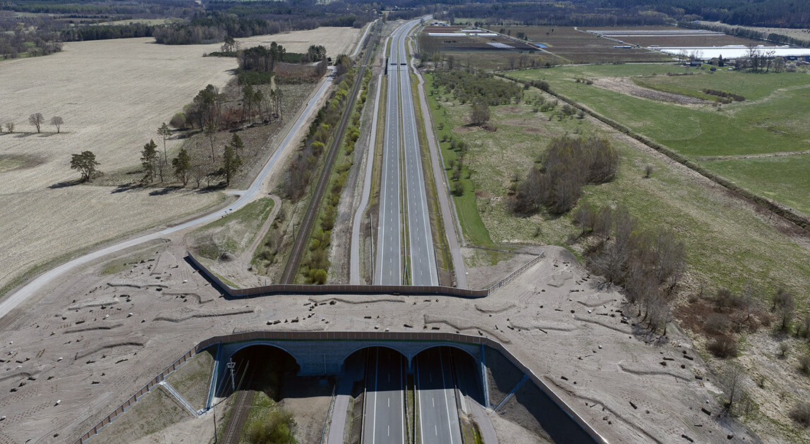 Droga ekspresowa S6 między Leśnicami a Bożympolem Wielkim, przejście dla dużych zwierząt