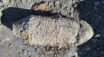 Niewybuch na budowie drogi ekspresowej S19 pomiędzy Duklą a Barwinkiem