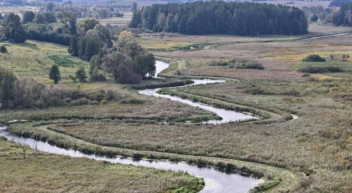 Rzeka Łyna i tereny nadrzeczne w gminie Stawiguda