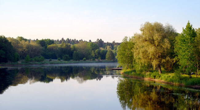 Rzeka otoczona drzewami