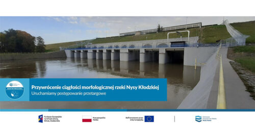 Budowla hydrotechniczna na Nysie Kłodzkiej objętej projektem budowy przepławek