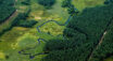 Meandrująca rzeka przepływająca przez naturalną dolinę otoczoną lasem