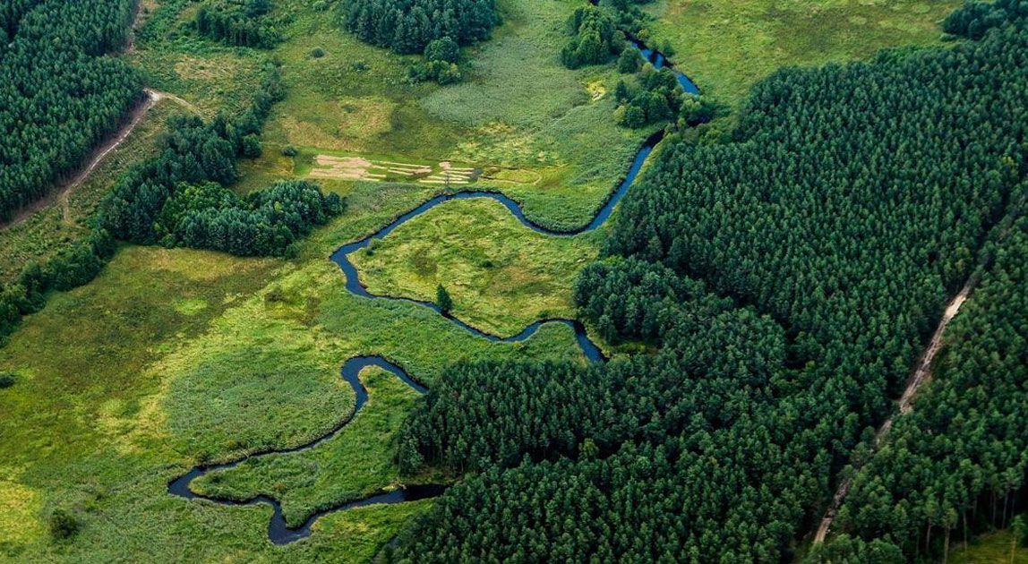 Meandrująca rzeka przepływająca przez naturalną dolinę otoczoną lasem